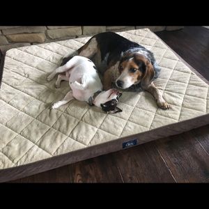 Meet your Posher, April